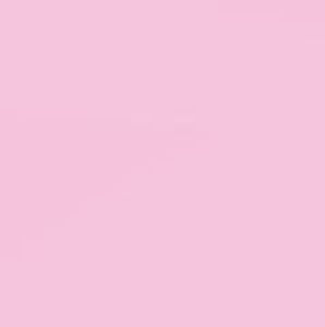 Meet your Posher, Camila